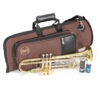 Trobenta Bach Bb-Trumpet TR4502