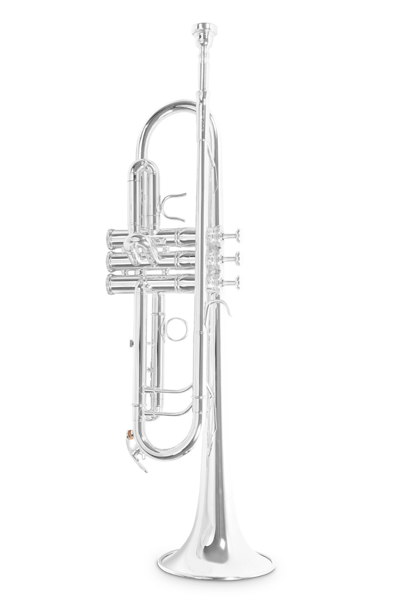 Roy Benson Bb-Trumpet TR-403