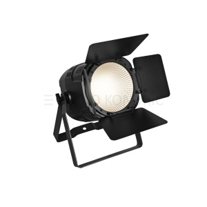 LED Theatre COB 100 WW