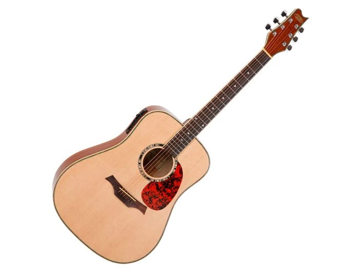 Elektro akustična kitara WS-2 natur